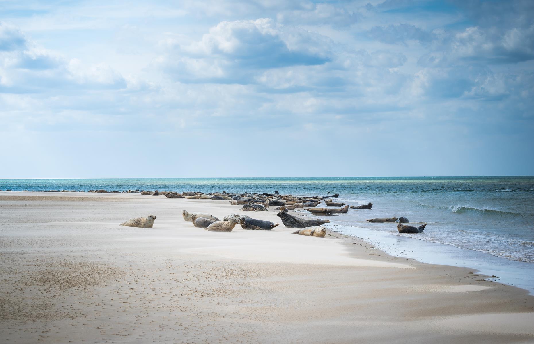 Norfolk Coast Path, Norfolk